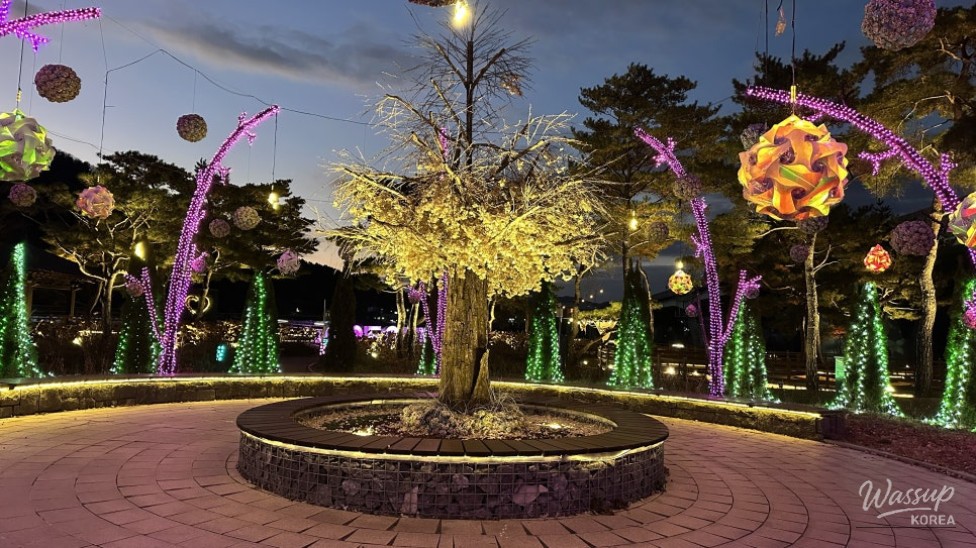 Riverside night scenery with reflections and soft lighting in Goesan
