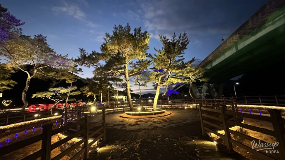 Subtle landscape lighting highlighting trees and paths at Goeun Light Park