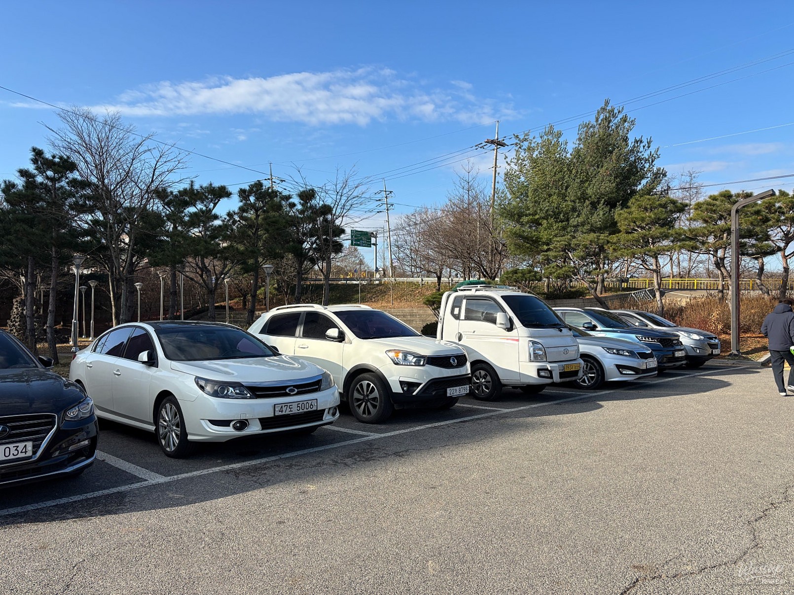 Bright and clean interior of the gym featuring modern cardio and weight machines