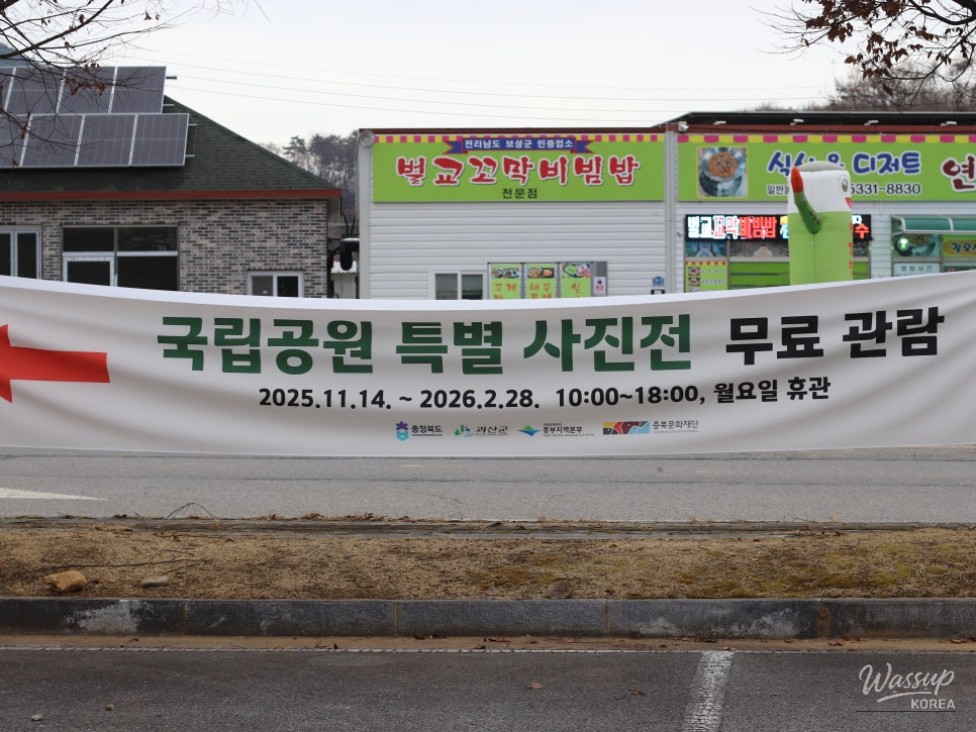 Detailed nature photography displayed within the quiet atmosphere of the museum gallery