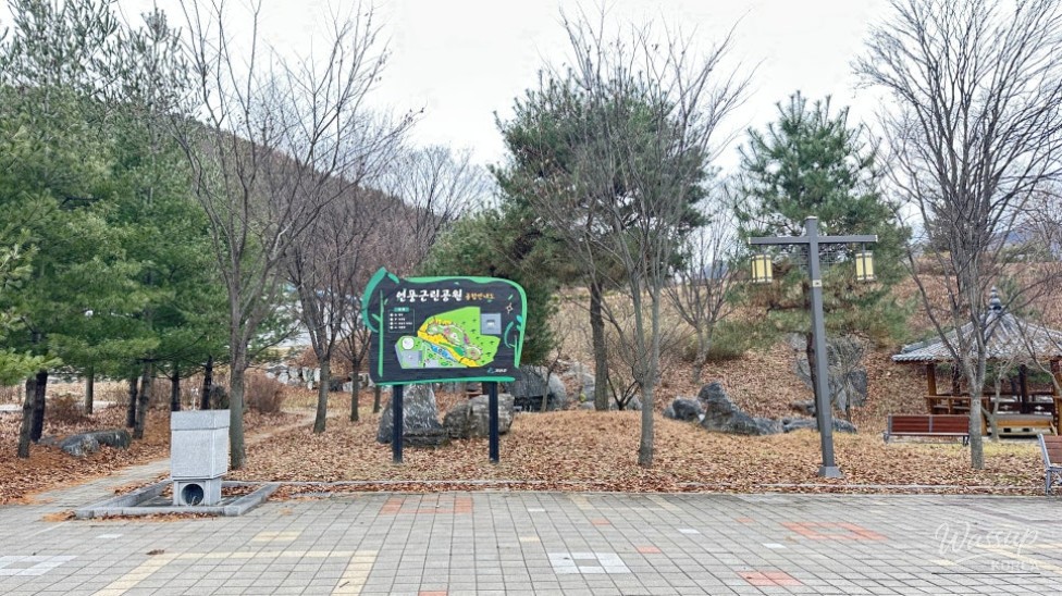 A smooth walking trail lined with trees and benches within the park