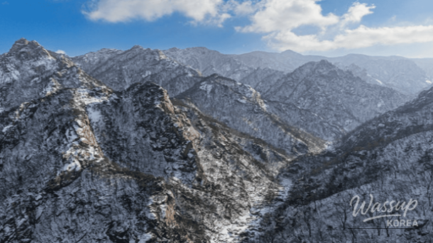 Close up of frost-covered branches against a blue winter sky