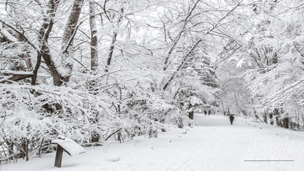 Scenic view of mountain ridges layered in winter mist