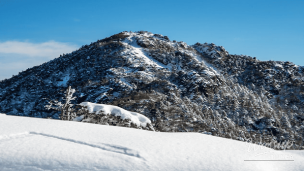 A tranquil winter hiking trail covered in fresh snow