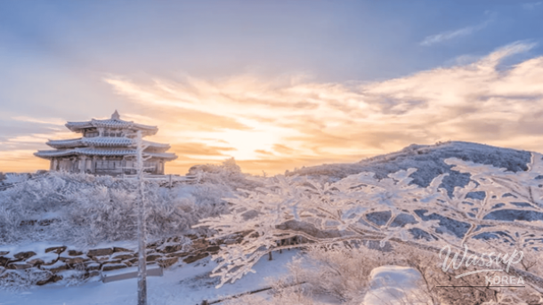 Snowy trees and blue sky at a Korean winter mountain resort