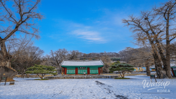 A peaceful winter scene in Jeonju capturing the essence of the season