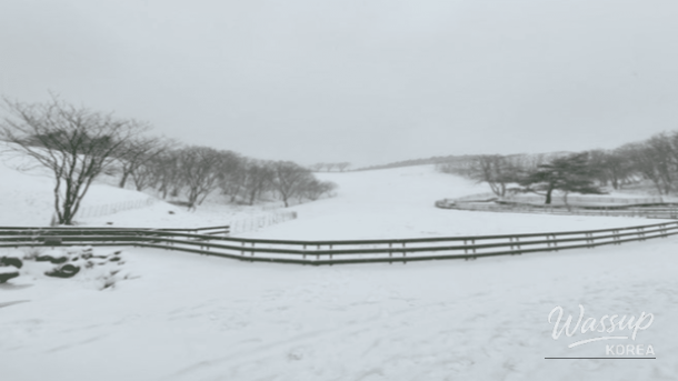 The snow covered Baengnokdam crater at the summit of Hallasan Mountain