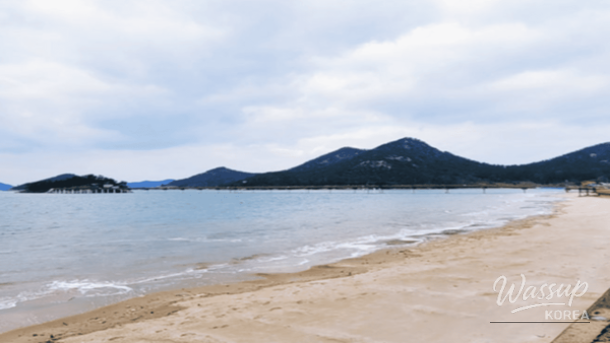 A quiet forest trail covered in deep winter snow