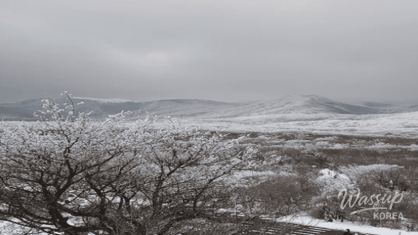 Enchanting ice fountains and sculptures at the Cheongyang Alps Village festival