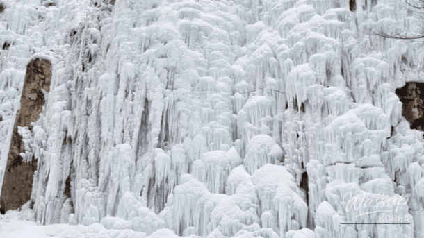 Snow covered mountains and trees at Jeju 1100 High Altitude rest area
