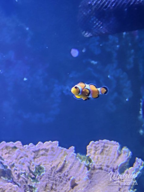 Assorted grilled intestines on a sizzling plate