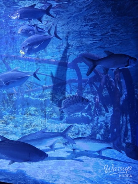Traditional Japanese ramen shop interior