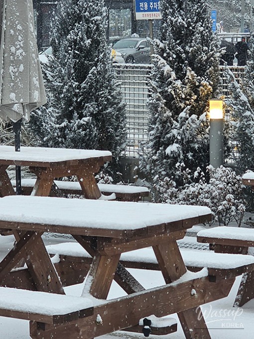 Raw beef tongue slices prepared for grilling