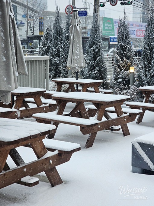 Large shark swimming past the glass at the aquarium