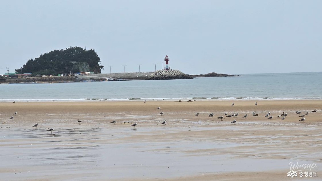 A high-angle panoramic view of the coastline from the Manripo Observatory
