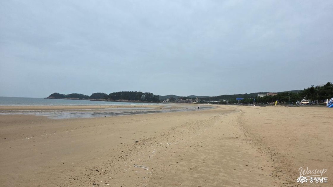 Close-up of adorable seagull footprints on the wet sand of Manripo Beach
