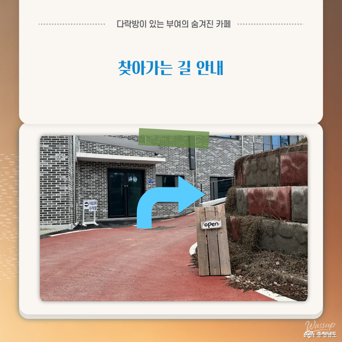 A friendly resident cat enjoying the warm atmosphere of the café