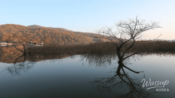 Dreamlike winter morning mist at the Mungwang Reservoir