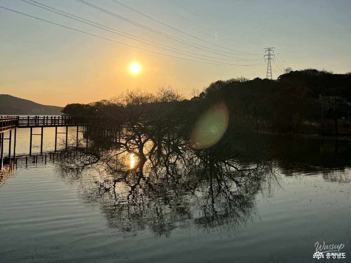 A row of rocking chairs overlooking the lake for visitors to rest and enjoy the view