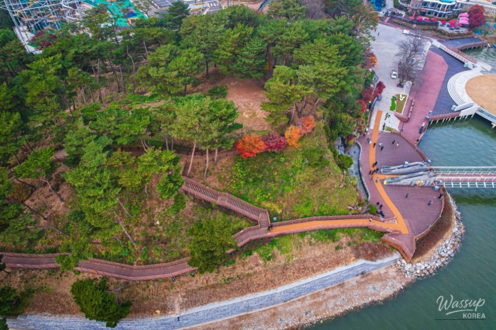 Artistic plant exhibition area located on the second floor of the Yedangho Rest House