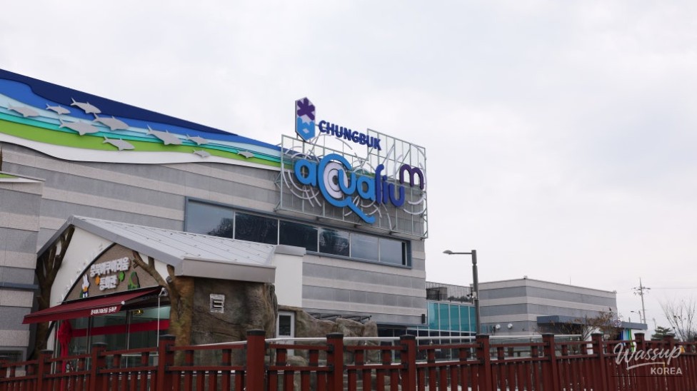 A visitor walking through the 270-degree underwater tunnel with fish swimming overhead