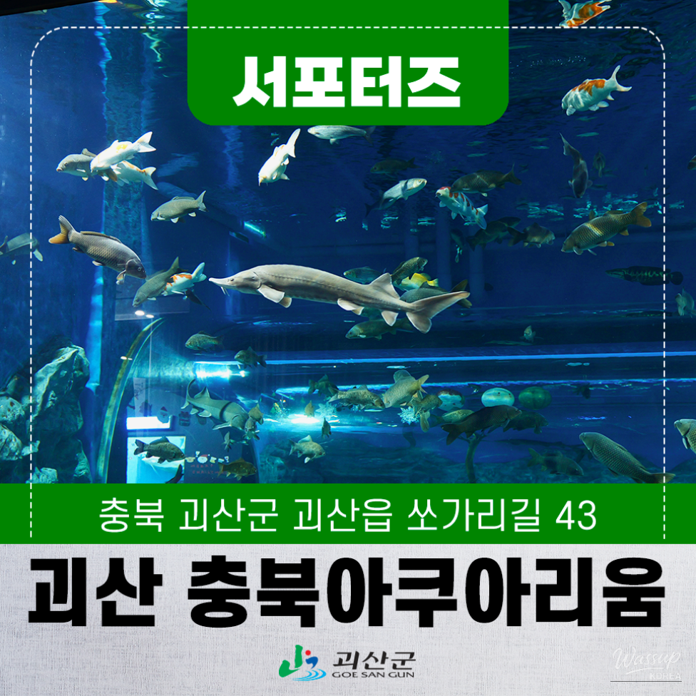 The impressive main tank at Cheongbuk Aquarium featuring a diverse array of freshwater fish
