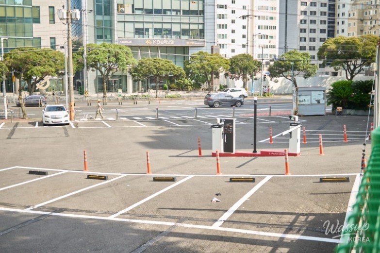 A full table spread at Jeju Seongsim Jorim including braised and grilled dishes