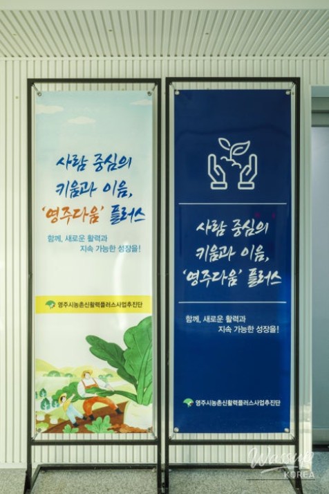 Outdoor grass plaza and performance stage at Yeongju Rural Revitalization Community Center