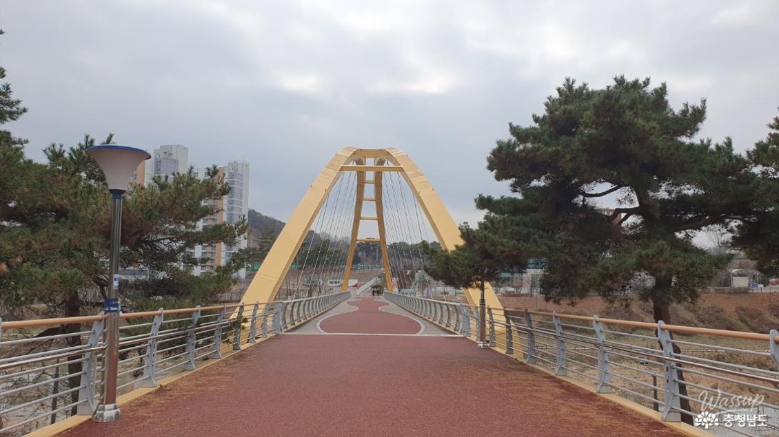 The observation deck at the top of Jisan Park surrounded by winter trees