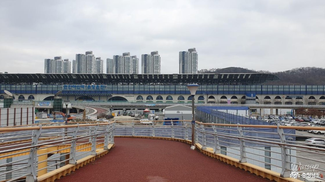 A quiet forest walking path leading up toward Jisan Park from the cooperation center