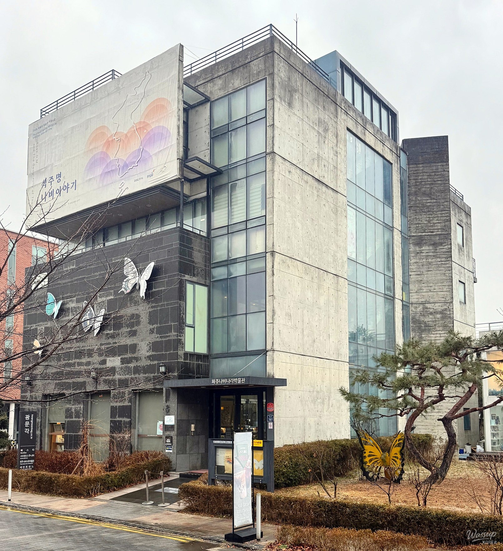 Exhibition of diverse butterfly specimens and educational dioramas at Paju Butterfly Museum