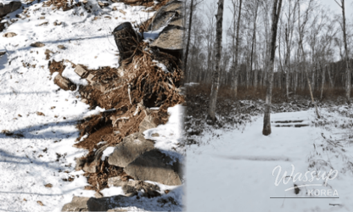 A group of people laughing and enjoying the snow park activities