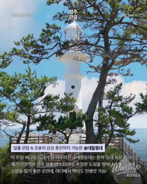 Fan-shaped columnar joints on the Gyeongju coast reflecting the first light of the New Year