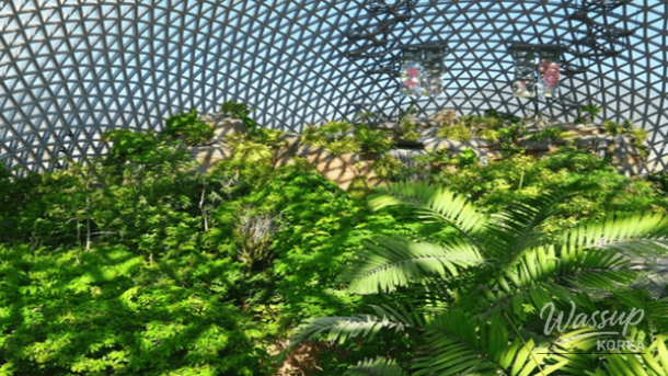 The spacious natural habitat of the Tiger Forest at Baekdudaegan Arboretum in Bonghwa