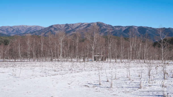 A collage of winter scenery from the top destinations near Daegu