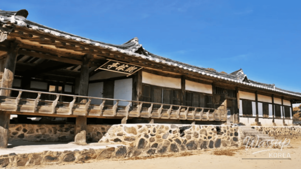 Lush green plants and unique photo zones inside the Geoje Jungle Dome greenhouse