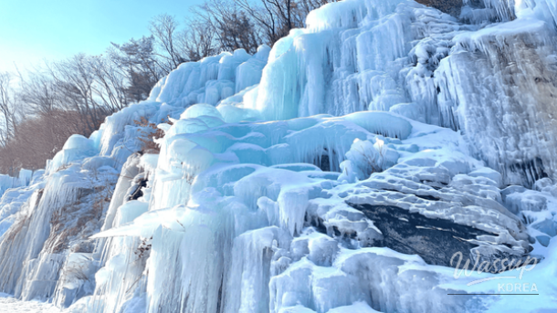 A serene tree-lined path on Nami Island during the quiet winter season