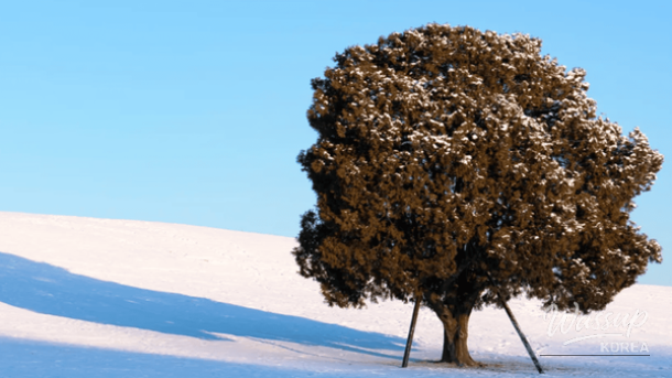 The vibrant yet serene cityscape of Seoul during the year-end season