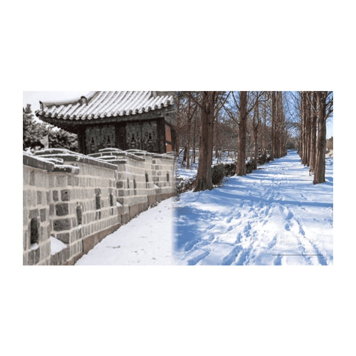 A serene winter landscape of Ganghwado Island where history and nature meet under a clear sky