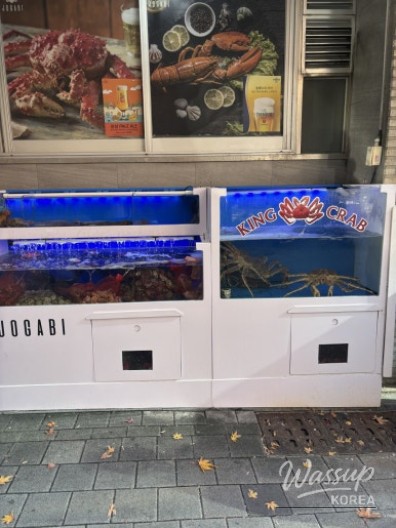 A generous serving of clam kalguksu with handmade noodles and fresh broth