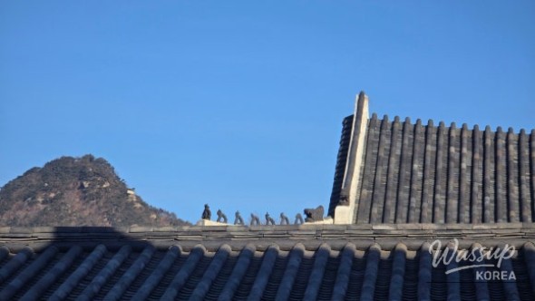 Detailed view of palace moss under magnification