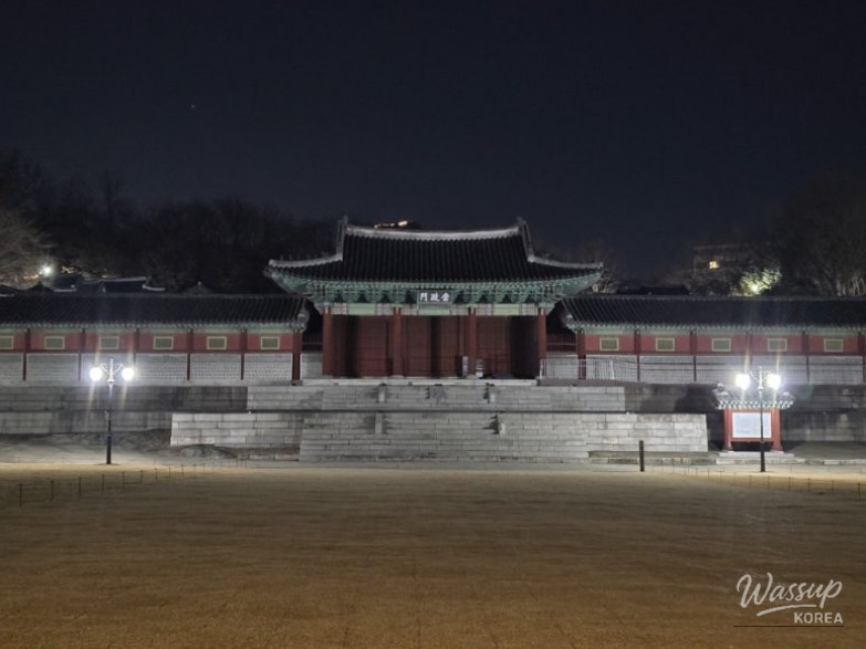 Winter trees casting long shadows on Seoul Plaza