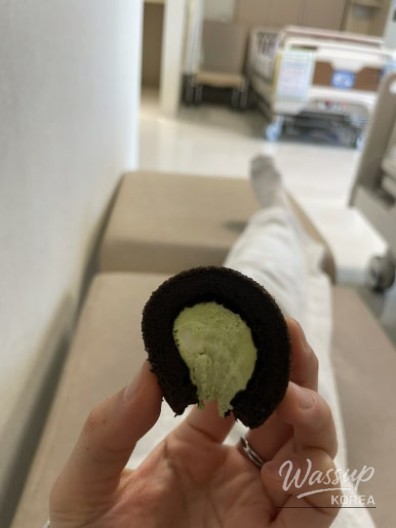 The lush green greenhouse interior of the Seoul Botanical Garden in Magok