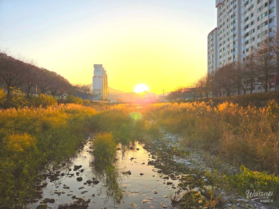 Leaf-strewn walking path next to Chilwon Stream equipped with outdoor exercise machines