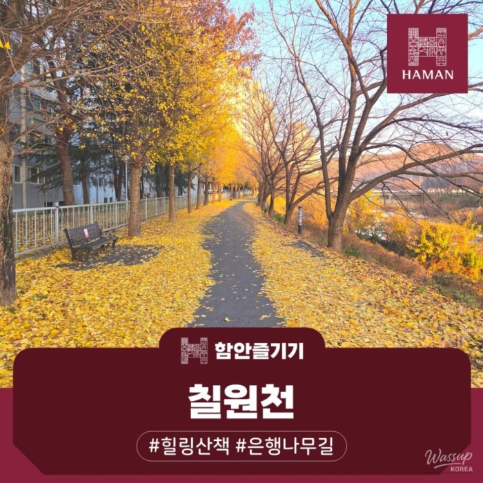 A peaceful winter morning view of the flowing Chilwon Stream with a clear sky