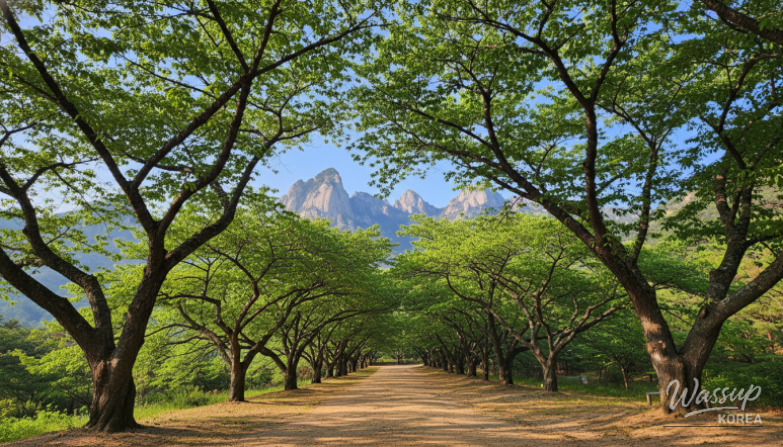 Close-up view of the wooden structure and eaves of Hae Tal Mun