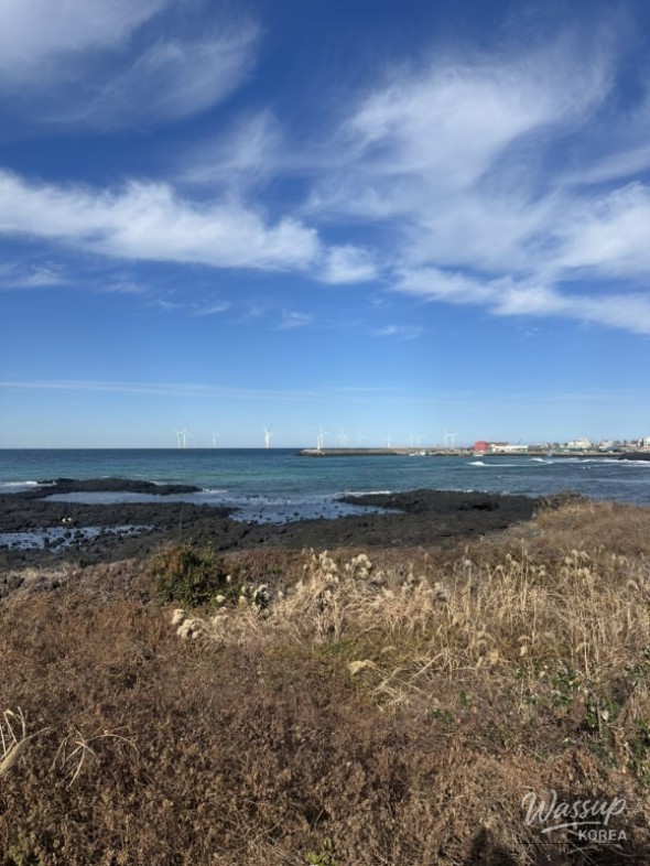 green tangerine ade drink