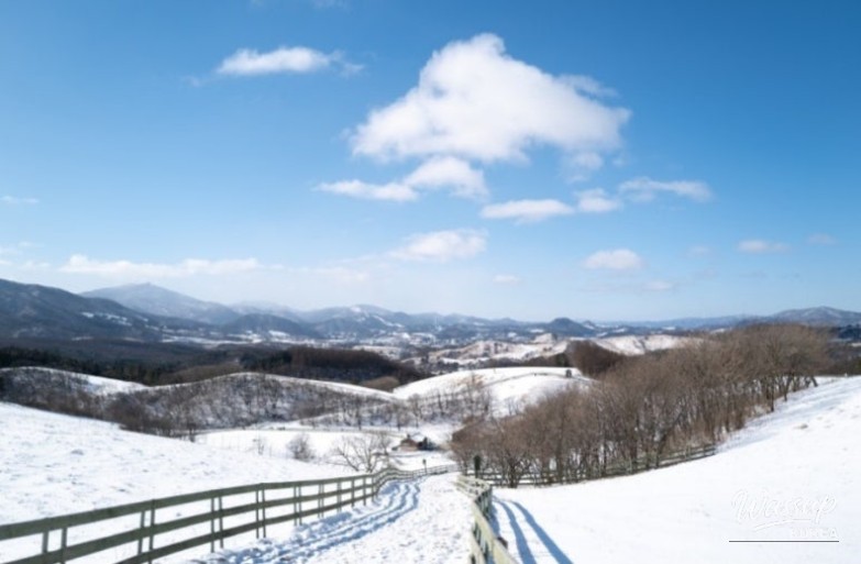 Sheep farm winter landscape