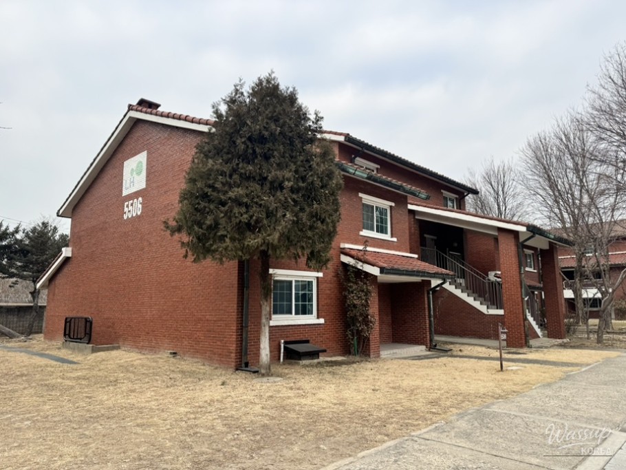 Display of Sojae egg tarts with different flavors visible on top