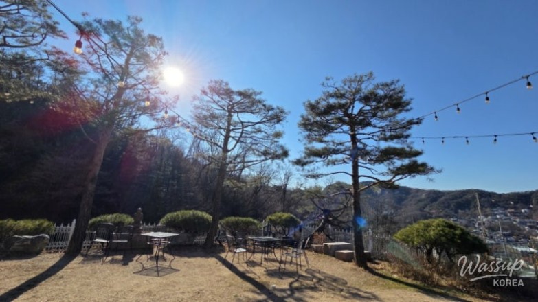 Desserts and pastries enjoyed with coffee at Adela Bailey